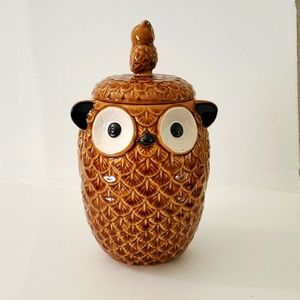 Pier 1 Imports Owl Cookie Jar